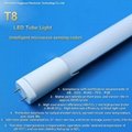 T8 LED tube(Intelligent microwave sensing-radar)
