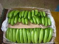 Premium Fresh Banana Cavendish 1