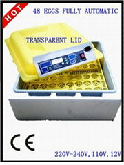 Capacity of 48 eggs incubator for sale with the lowest price