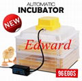 96 eggs CE marked Full automatic mini chicken egg incubator EW-96B 1