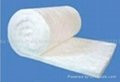 HAZ Aluminum silicate fiber blanket 3