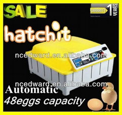 Cheap&Full Automatic Egg-Turning 48 eggs Mini Incubator for sale EW-48