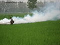 agriculture fogging machine for pest control in greenhouse 2