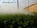 fogging machine for agricultural