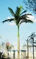 artificial coconut tree 2