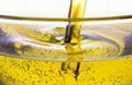 soybean oil 1