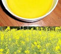 rapeseed oil