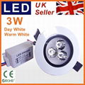 LED 3W Recessed Ceiling Spot Down Light+DRIVER,Day WHITE Wholesale Cabinet Lamp 1