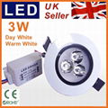 LED 3W Recessed Ceiling Spot Down Light+DRIVER,Day WHITE Wholesale Cabinet Lamp