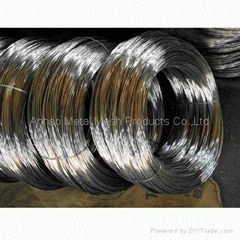 Electro/Hot Dipped Galvanized Steel Wire