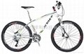 德国新特狮XTASY3H-MAMMOTH 2.0 猛犸象精品自行车 1