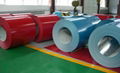 Prepainted Coil (PPGI)