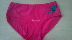 2013 Underwear Ladies Panties Hot Sell underpants