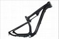 FM036 29er full carbon suspension MTB