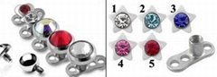 Stainless Steel Dermal Anchors Body Jewelry 