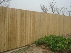 vietnam bamboo fences best price
