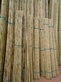 vietnam bamboo poles best price 1