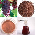 Grape seed extract