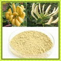 Epimedium leaf Extract powder icariin