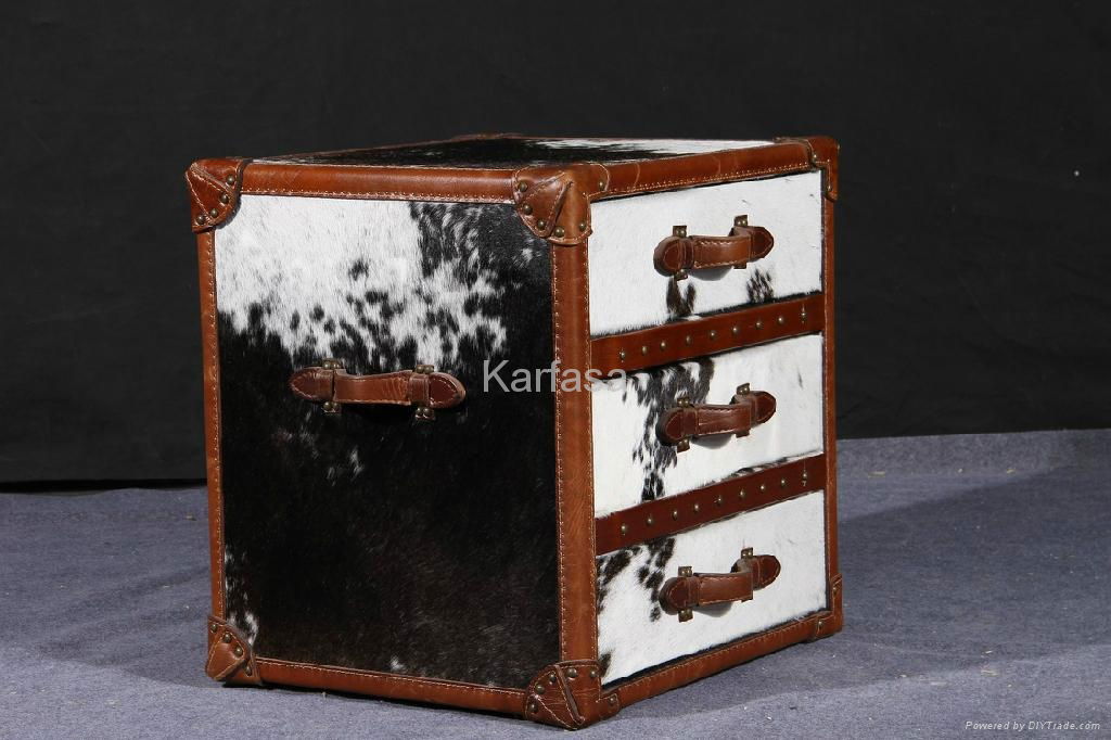 Cabinet in vintage leather 2