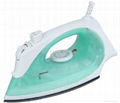 steam iron 1