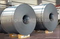 Color Coated Steel Coil 3