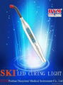 LED curing light plug in 1