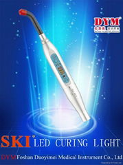 LED curing light plug in