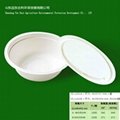 environmental protection pulp bowl