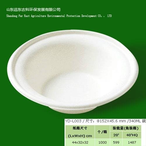 environmental protection pulp bowl 2