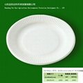 environmental protection pulp plate