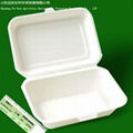 environmental protection pulp box 1