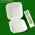 environmental protection pulp box 3