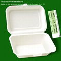 environmental protection pulp box 4