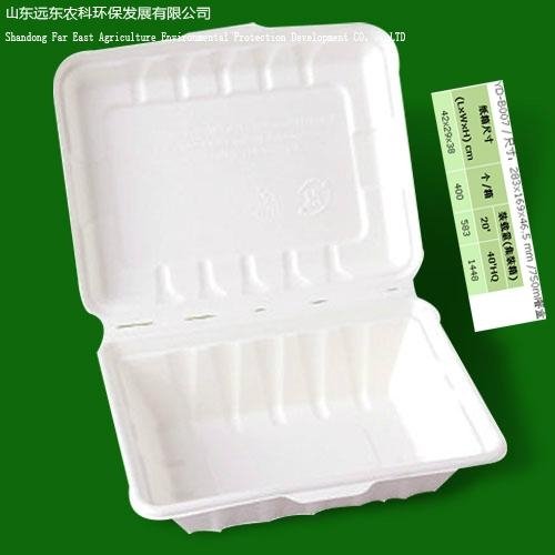 environmental protection pulp box 5
