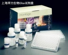 上海拜力生物科技有限公司