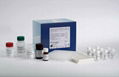 大鼠17羥孕酮試劑盒 1
