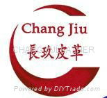 Chang Jiu Leather Co.,Ltd