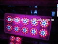 Apollo led plant grow light