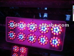 Apollo led plant grow light