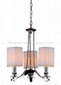 Modern chandeliers  2