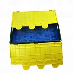 Foldable Crate with Lid