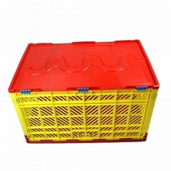 Foldable Crate with Hole