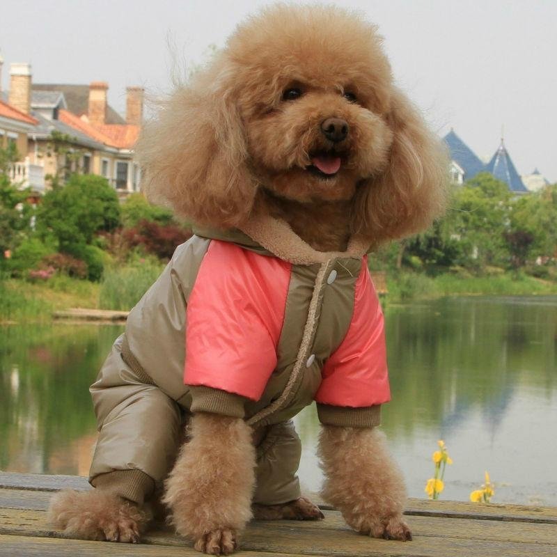 100% Polyester Winter Dark Rose Jumpsuit dog clothes 3