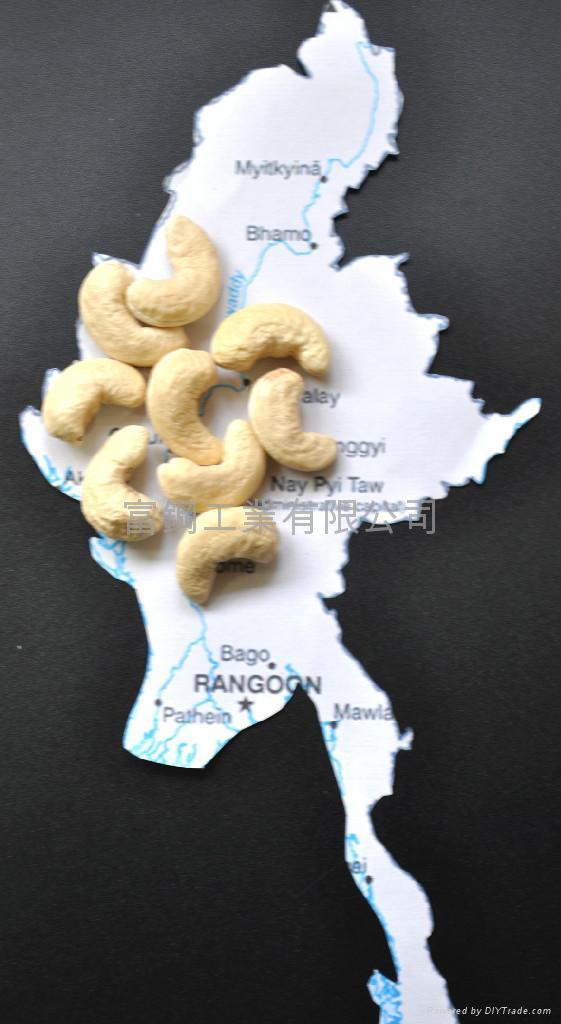 Supply Cashew Nut，Myanmar origin