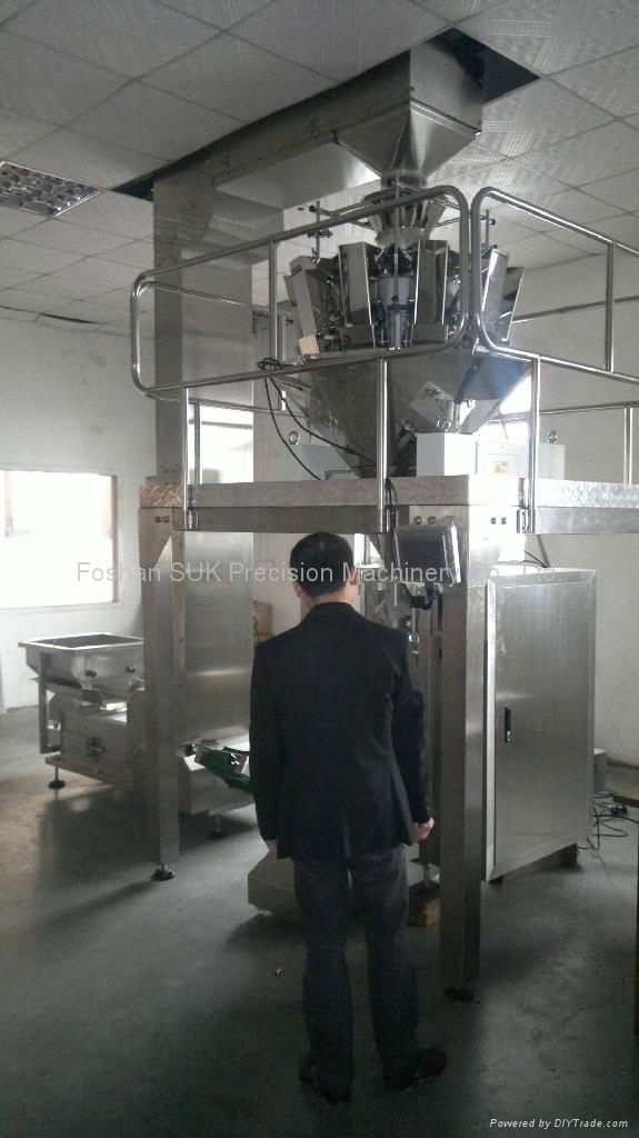 Automatic Nylon Triangle Tea Bag Packaging Machine SL-SJB160 4