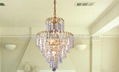 60xH80cm Silver Chrome color gilding Article Crystal Pendant Lights 4