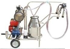 Gasoline milking machine (1 bucket)