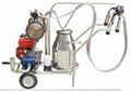 Gasoline milking machine (1 bucket)