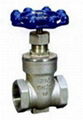 Stainless Steel Gate Valve